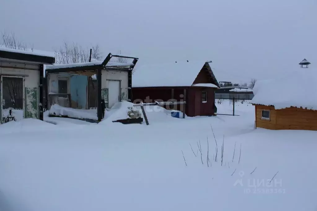 Участок в Ханты-Мансийский АО, Когалым Садовод-2 СОНТ,  (5.0 сот.) - Фото 1