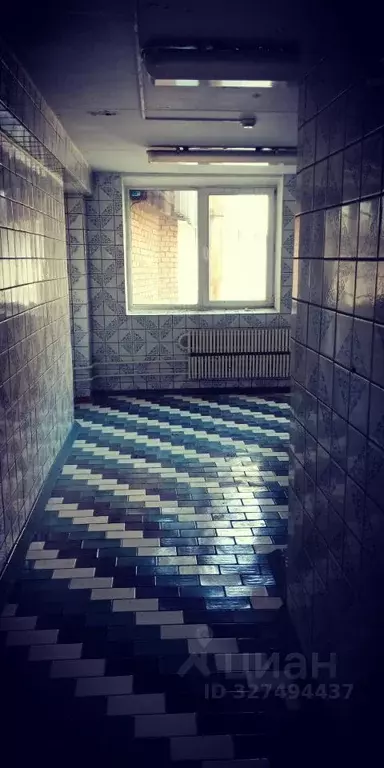 Помещение свободного назначения в Челябинская область, Кыштым ... - Фото 2