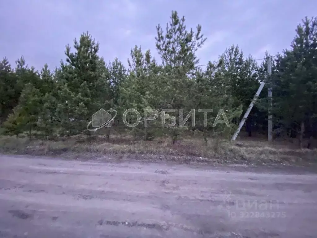 Участок в Свердловская область, Тугулым пгт пл. 50-летия Октября (13.0 ... - Фото 1