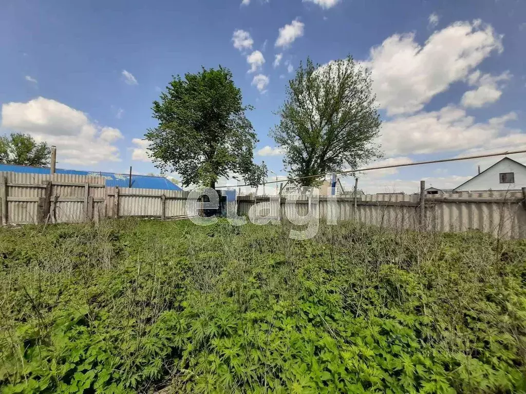 Участок в Белгородская область, Волоконовский район, Пятницкое рп ул. ... - Фото 2