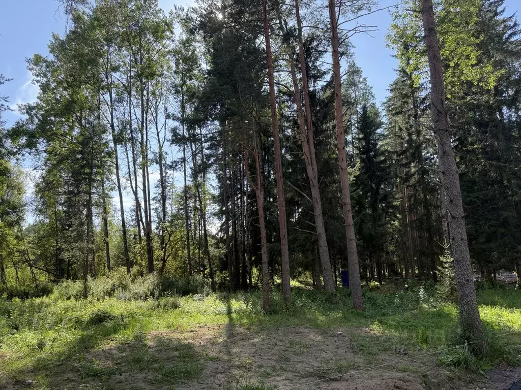 Участок в Санкт-Петербург пос. Репино, Большой просп. (13.0 сот.) - Фото 1