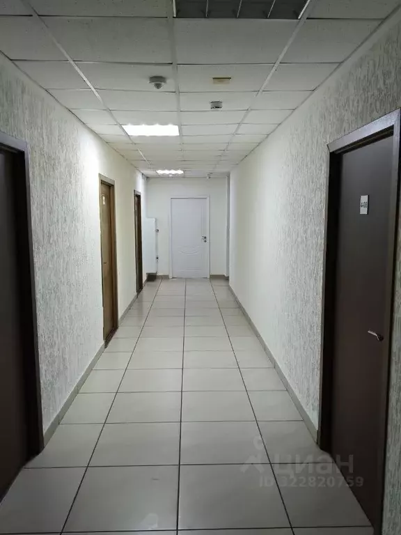 Офис в Красноярский край, Красноярск ул. Маерчака, 16 (38 м) - Фото 2