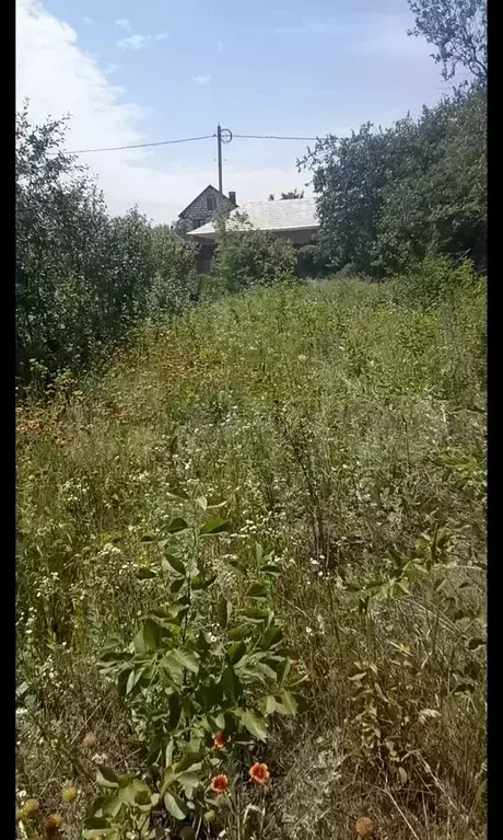 Участок 6,3 сот. (ИЖС) - Фото 1
