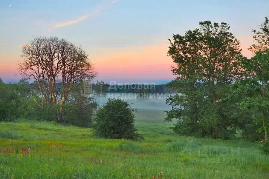 Участок в Новгородская область, Новгородский район, Пролетарское ... - Фото 0