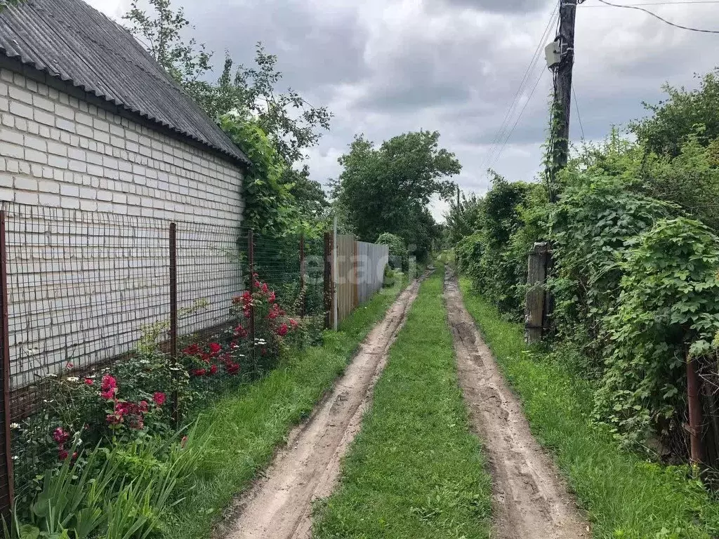 Дом в Воронежская область, Воронеж Кировец СНТ, 16 (30 м) - Фото 1