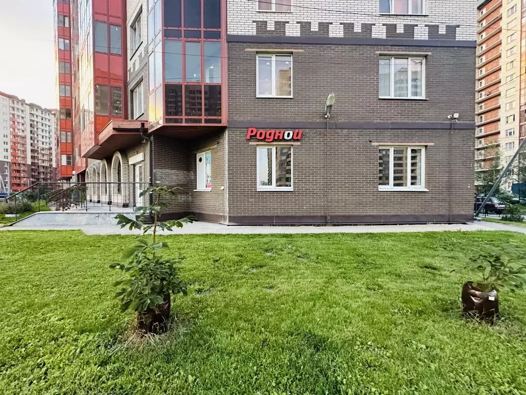 Торговая площадь в Ленинградская область, Мурино Всеволожский район, ... - Фото 2