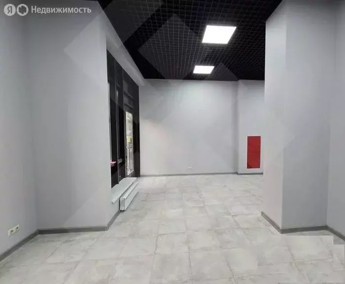 Помещение свободного назначения (53 м) - Фото 2