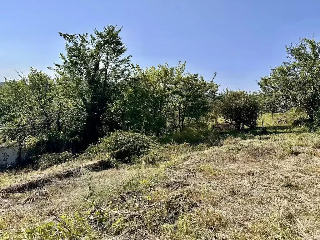 Участок в Краснодарский край, Сочи городской округ, с. Верхний Юрт, ... - Фото 2