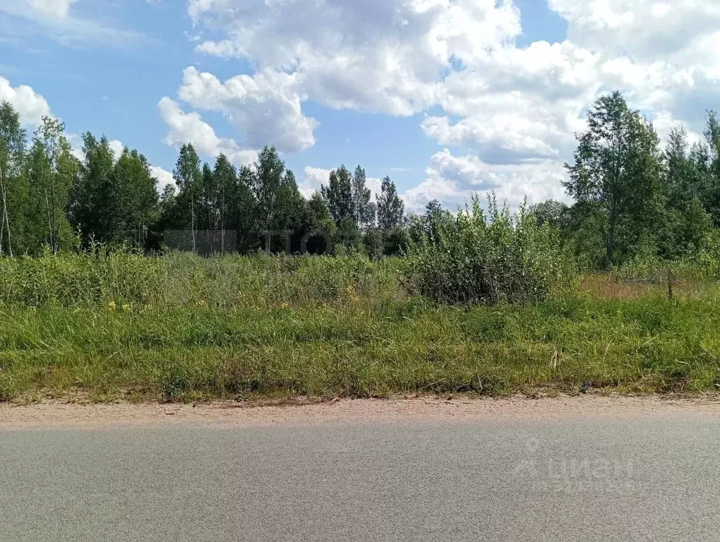 Участок в Новгородская область, Окуловский район, Турбинное с/пос, д. ... - Фото 2