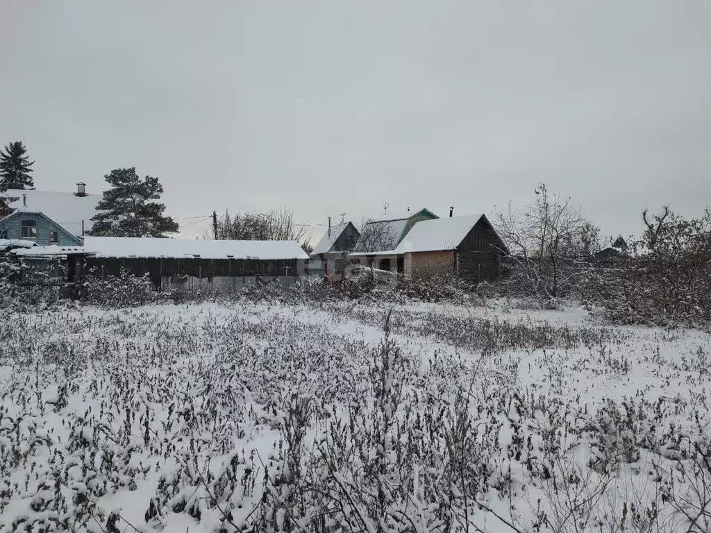 Участок в Курганская область, Курган Авторемонтник садовое ... - Фото 0