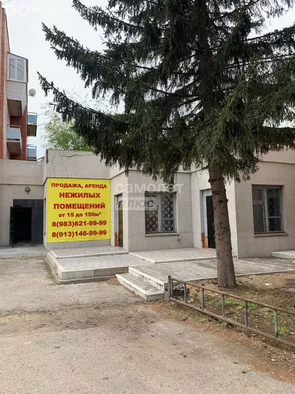 Помещение свободного назначения (30 м) - Фото 1