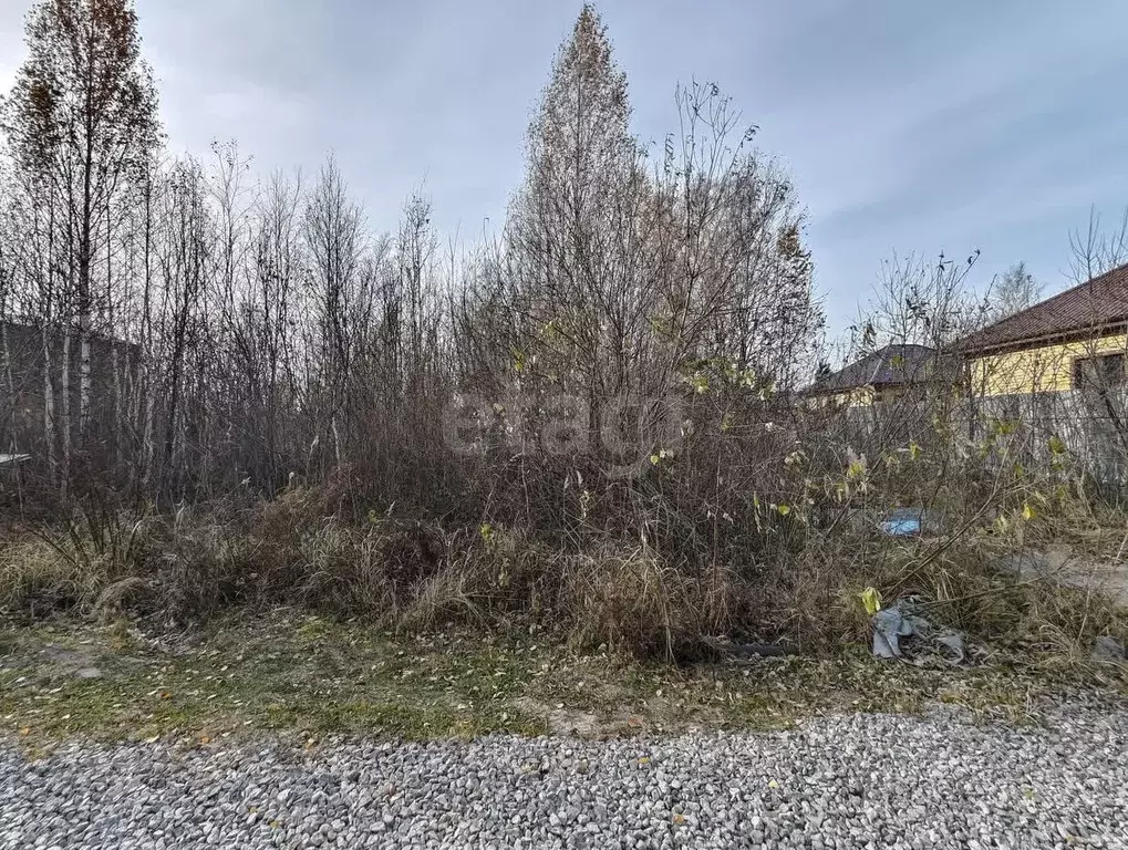 Участок в Тюменская область, Тюмень Медик СНТ, ул. Брусничная, 507 ... - Фото 1