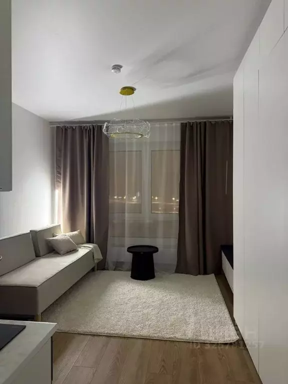 Студия Москва ул. Трехполье, 6к1 (20.0 м) - Фото 2