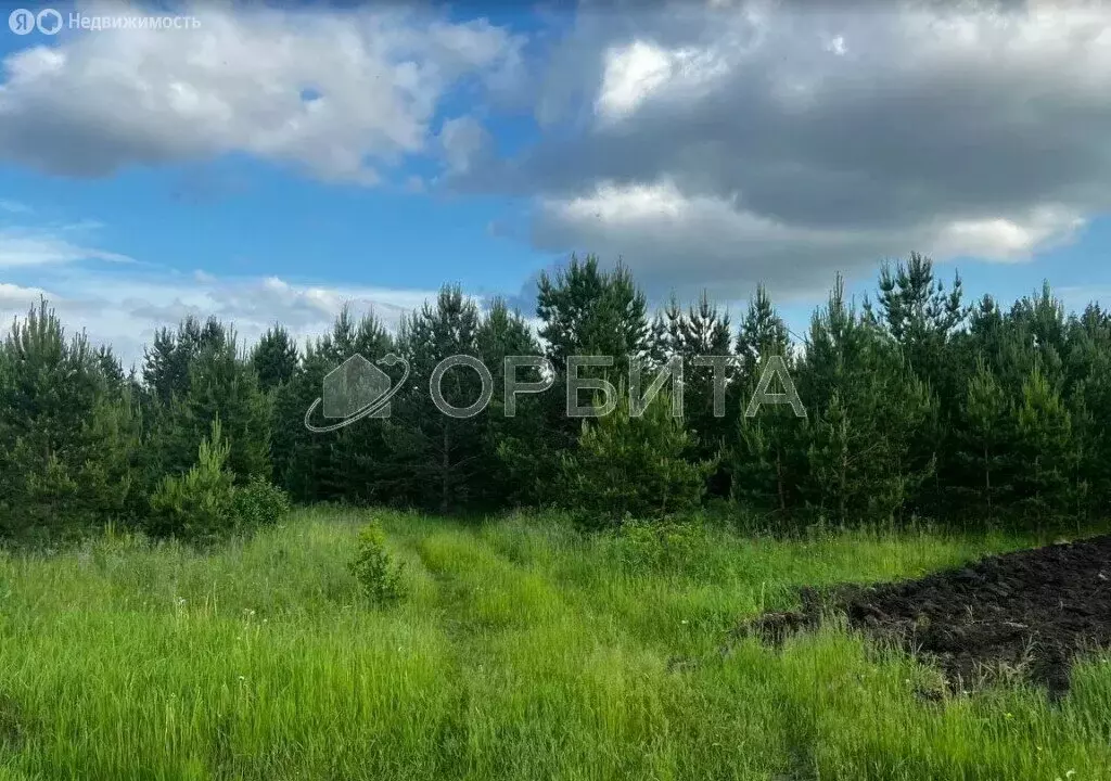 Участок в Тюменский район, село Успенка (12.5 м) - Фото 0