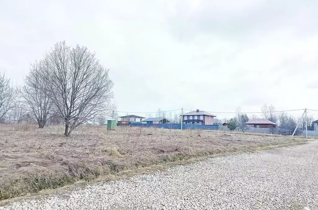 Участок в Ленинградская область, Ломоносовский район, Пениковское ... - Фото 0