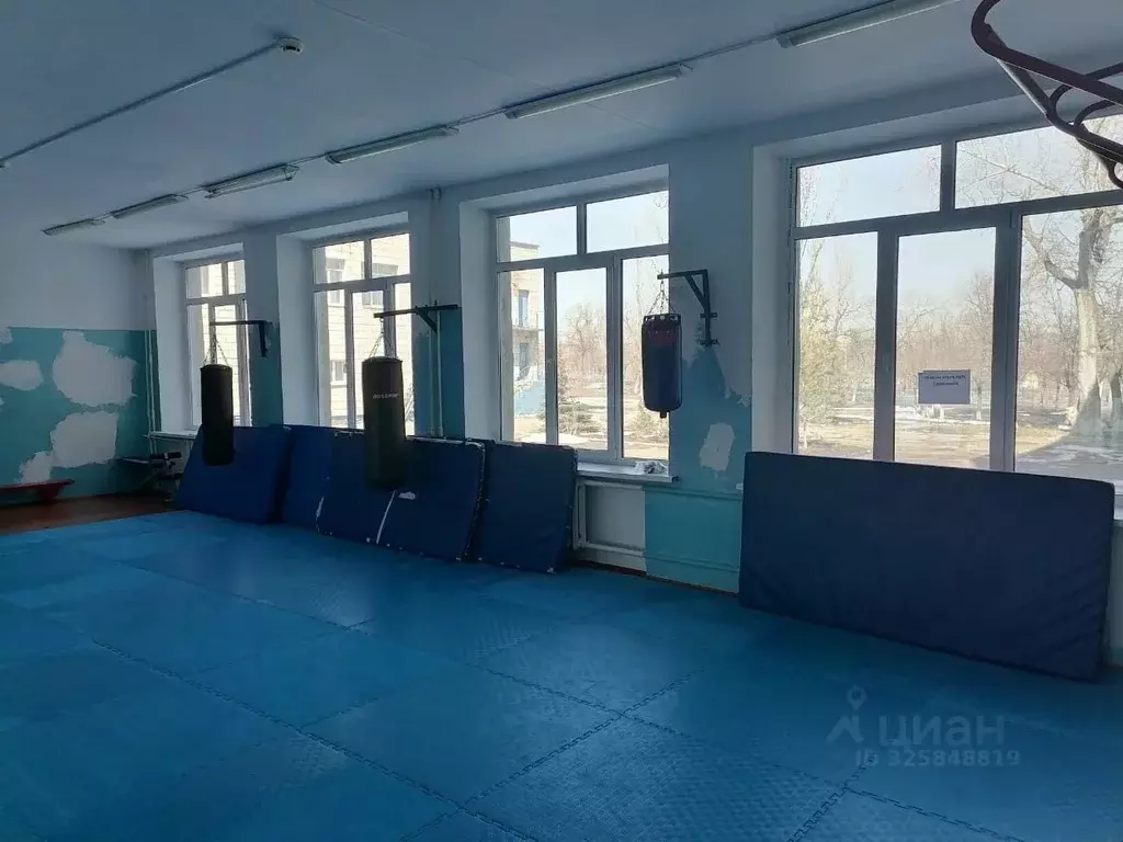 Помещение свободного назначения в Волгоградская область, Камышин ул. ... - Фото 1