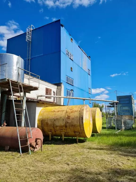 Производственное помещение в Нижегородская область, Лукоянов ул. ... - Фото 1