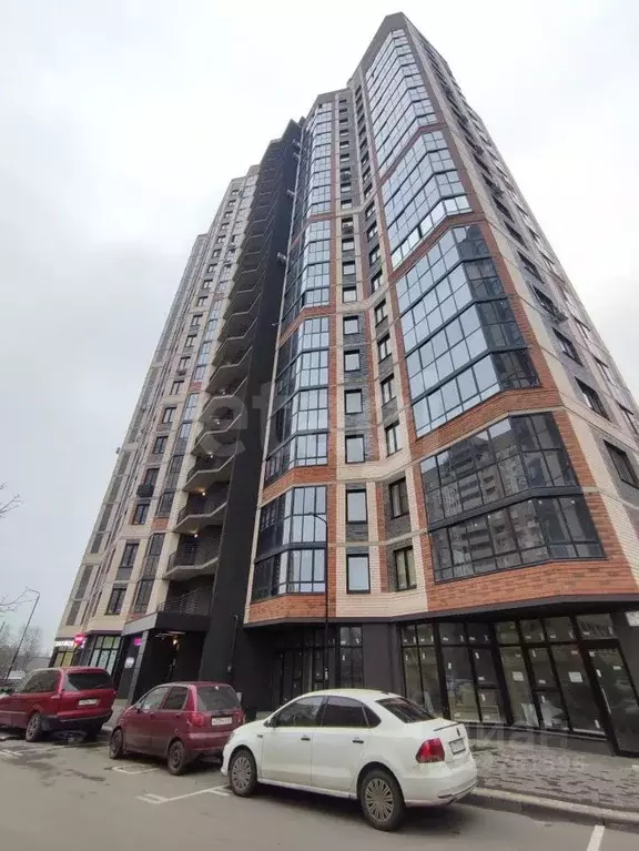 Студия Воронежская область, Воронеж Ростовская ул., 73Дк1 (21.5 м) - Фото 1