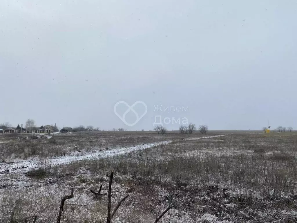 Участок в Волгоградская область, Среднеахтубинский район, Фрунзенское ... - Фото 1