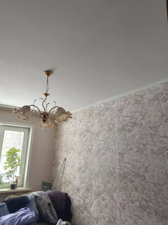 2-к кв. Алтайский край, Рубцовск ул. Светлова, 62 (44.0 м) - Фото 1