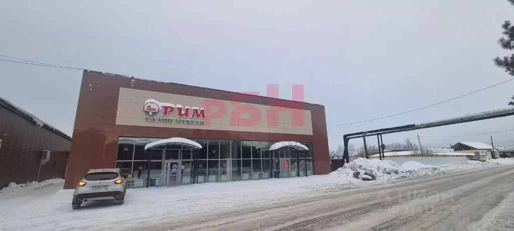 Торговая площадь в Свердловская область, Туринск Социалистическая ул., ... - Фото 1