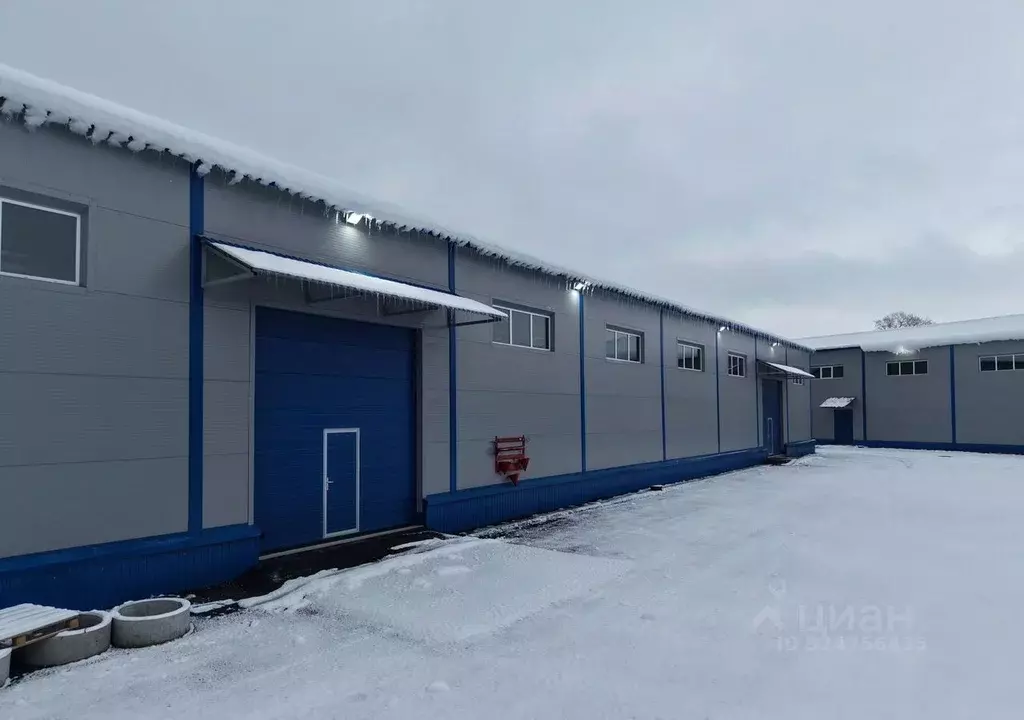 Производственное помещение в Ленинградская область, Ломоносовский ... - Фото 1