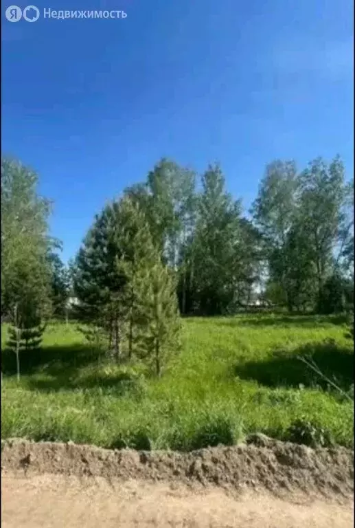 Участок в Кубовинский сельсовет, коттеджный посёлок Лаки Парк, 226 ... - Фото 0