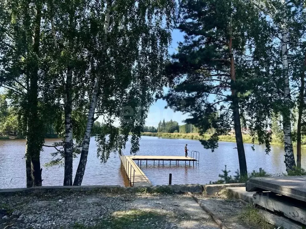 Участок в Ленинградская область, Сосновый Бор Звезда кп,  (12.0 сот.) - Фото 2