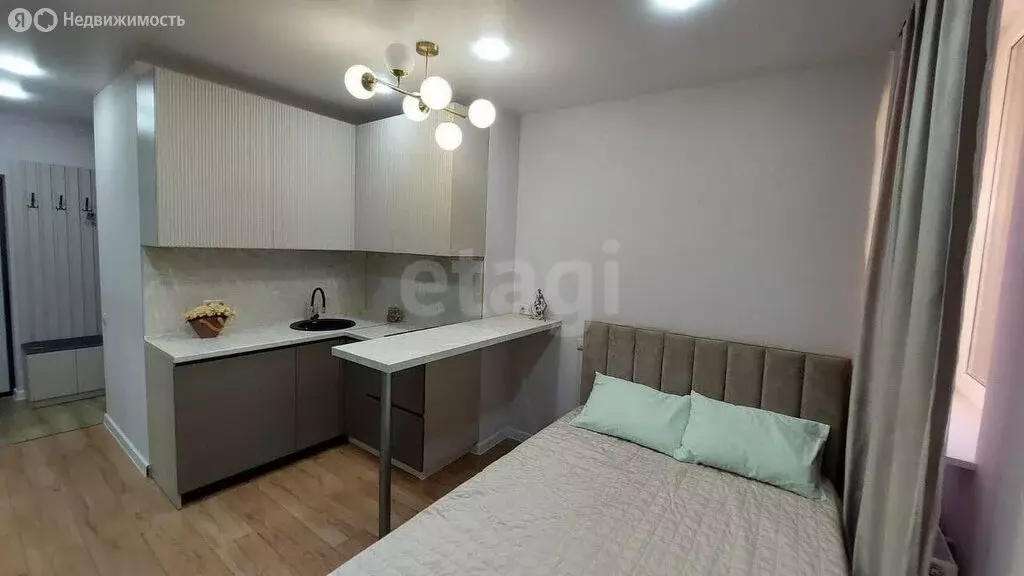 Квартира-студия: Ростов-на-Дону, проспект Ленина, 46/2 (21.5 м) - Фото 1