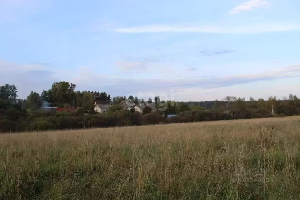 Участок в Псковская область, Пушкиногорье городское поселение, д. ... - Фото 1