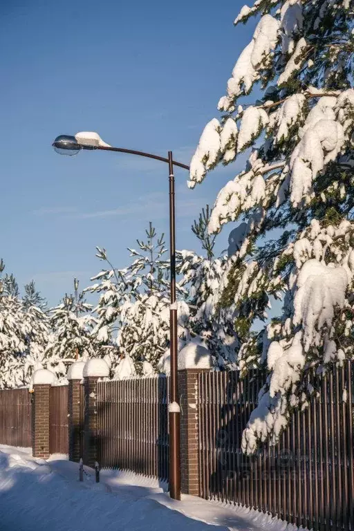 Участок, 10 сот., поселения (ижс) - Фото 1