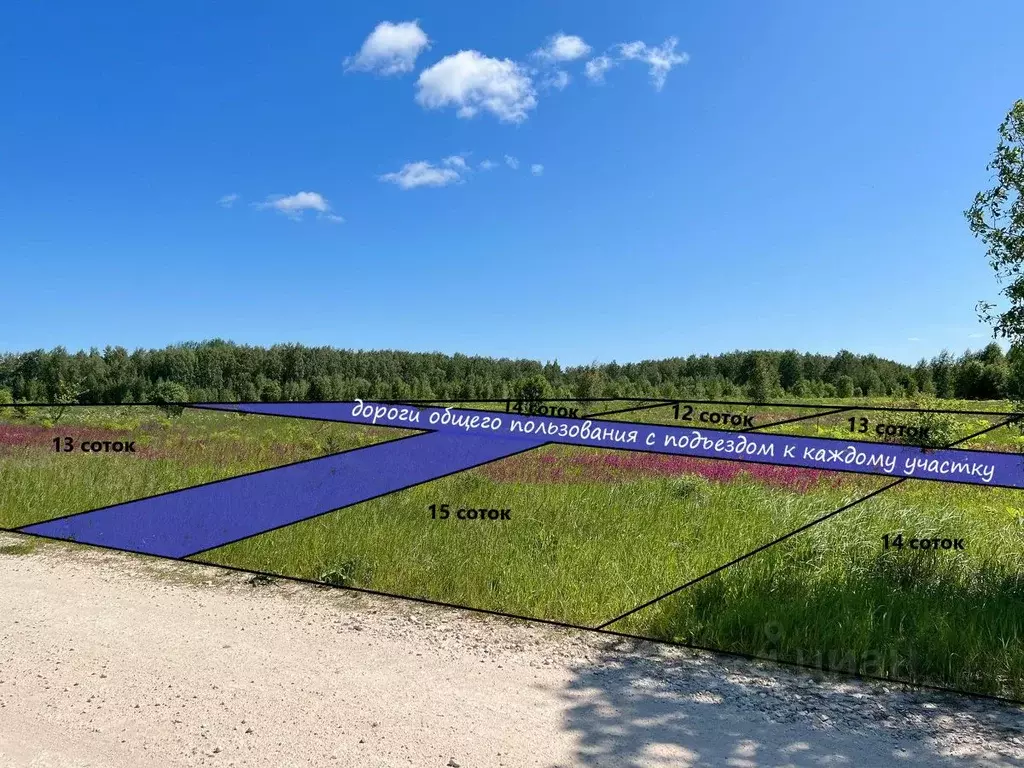 Участок в Владимирская область, Петушинский муниципальный округ, д. ... - Фото 1