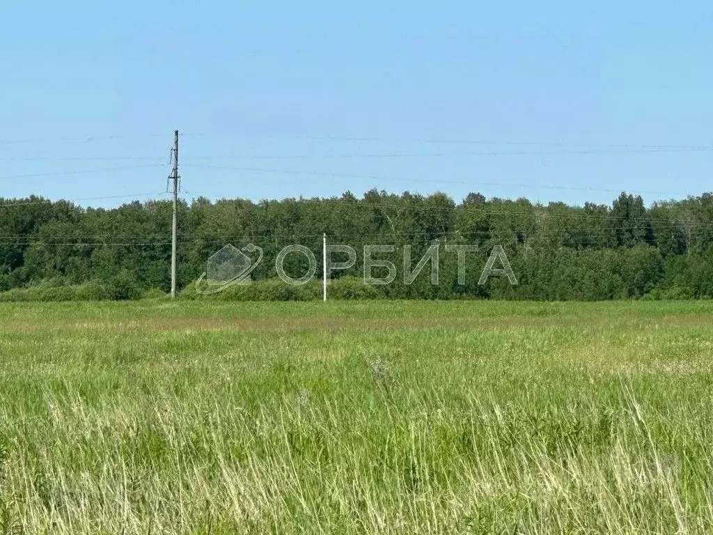 Участок в Тюменская область, Тюменский район, д. Елань ул. ... - Фото 0