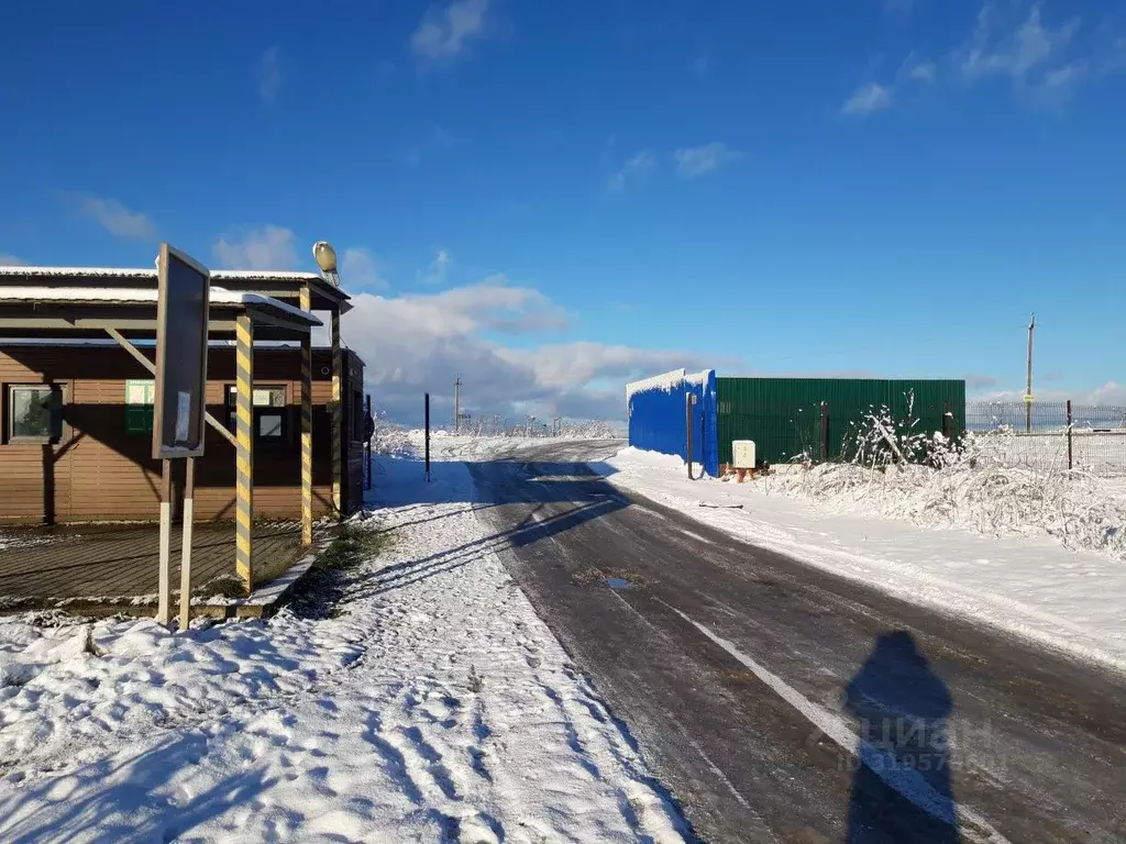 Участок в Ленинградская область, Волосовский район, Клопицкое с/пос, ... - Фото 2