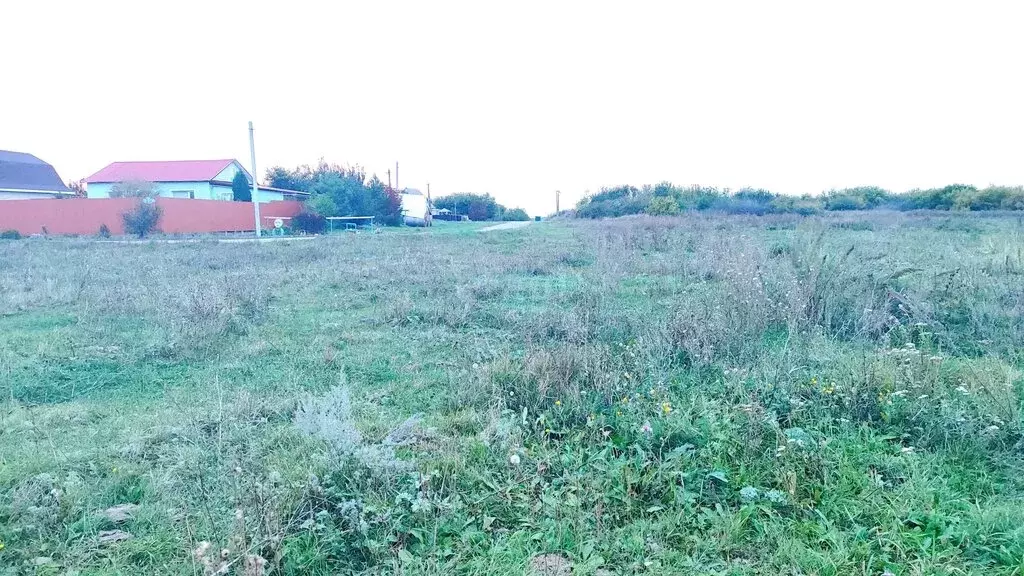 Участок в Балашовский район, Хопёрское муниципальное образование, село ... - Фото 1