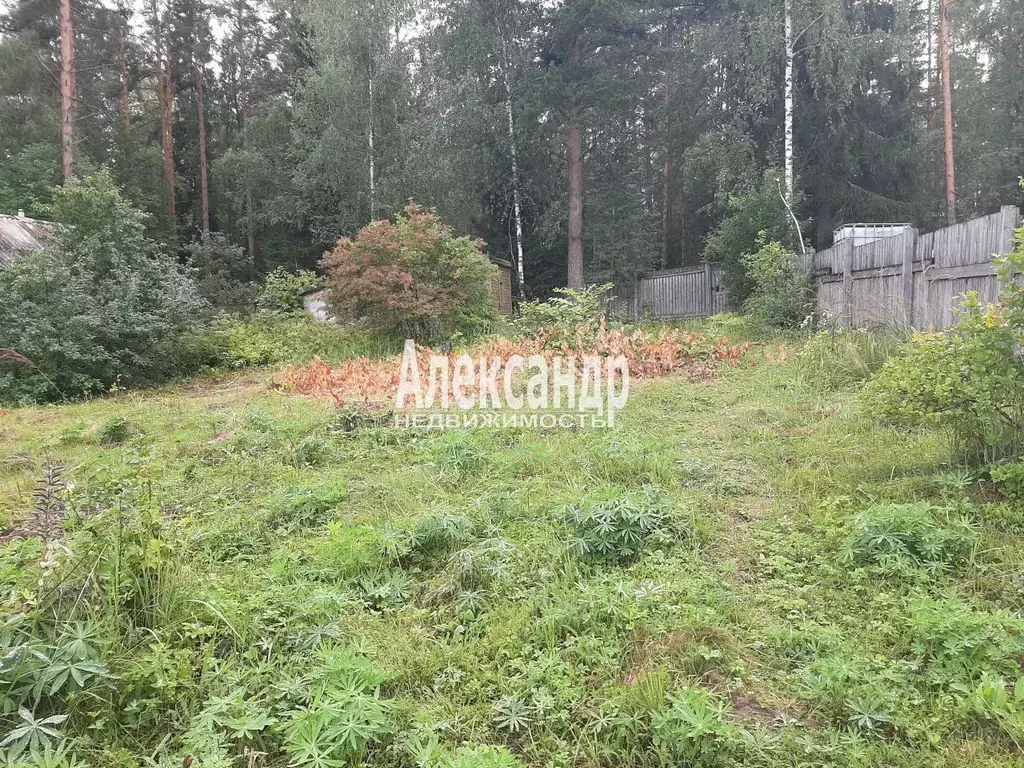 Участок в Ленинградская область, Выборг Радуга СНТ,  (7.0 сот.) - Фото 1