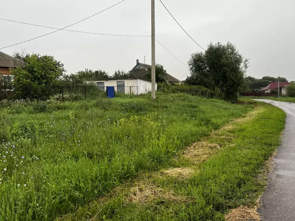 Дом в Липецкая область, с. Вторые Тербуны ул. Первомайская, 50 (65 м) - Фото 2