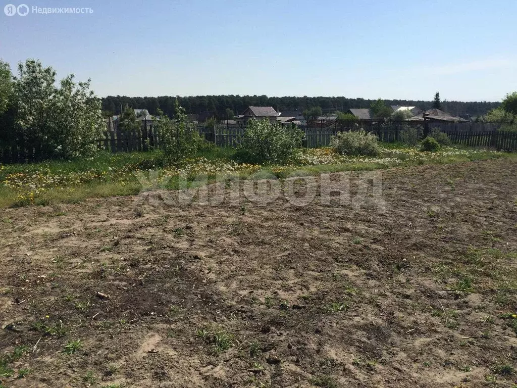 Участок в Ордынский район, поселок Чернаково, улица Кузбасс (9.3 м) - Фото 1