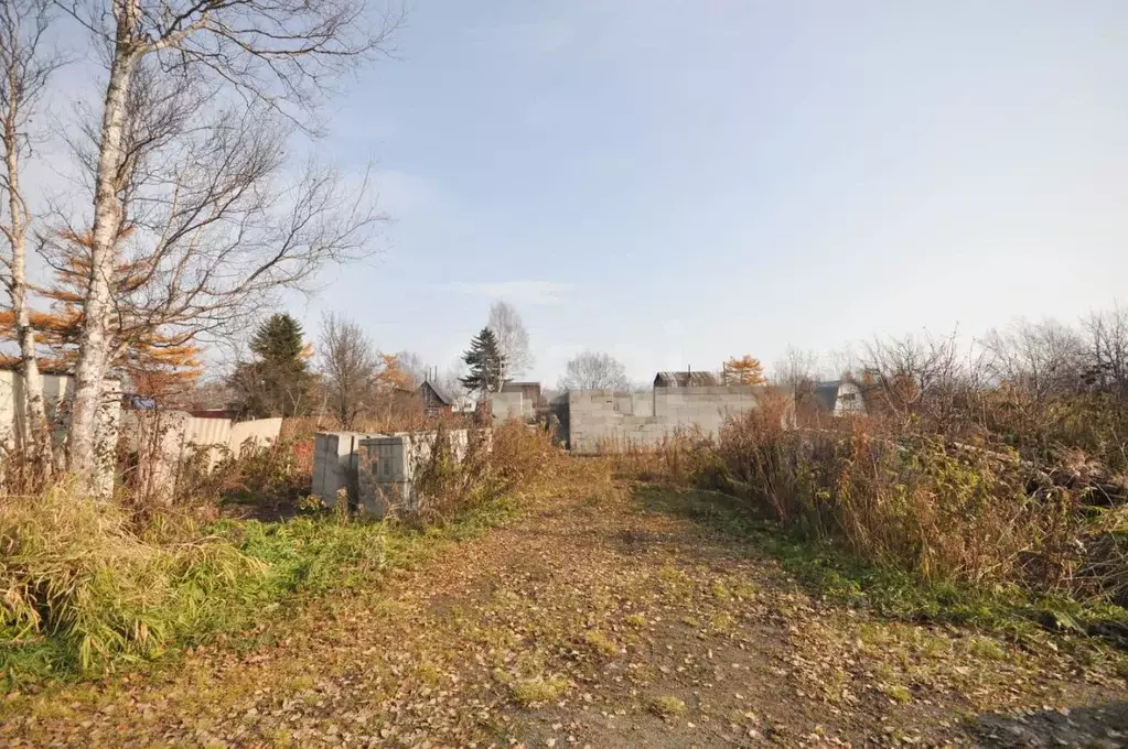 Участок в Сахалинская область, Южно-Сахалинск Искатель СНТ, ул. ... - Фото 1