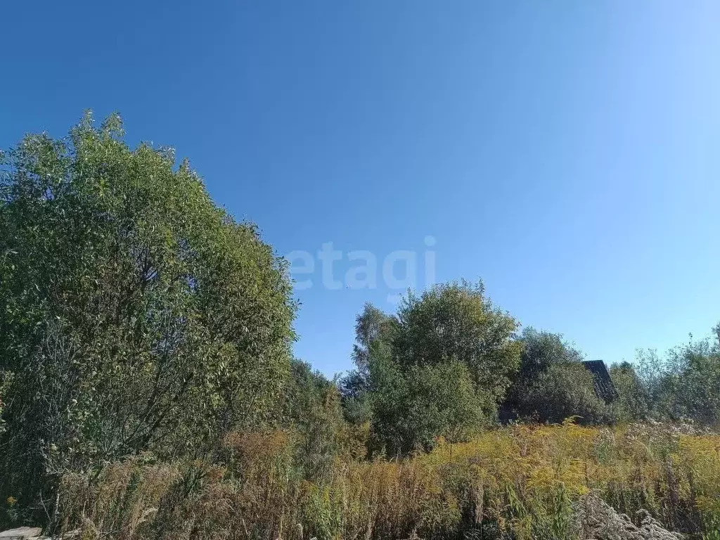 Участок в Брянская область, Брянский район, Чернетовское с/пос, Сад-8 ... - Фото 2
