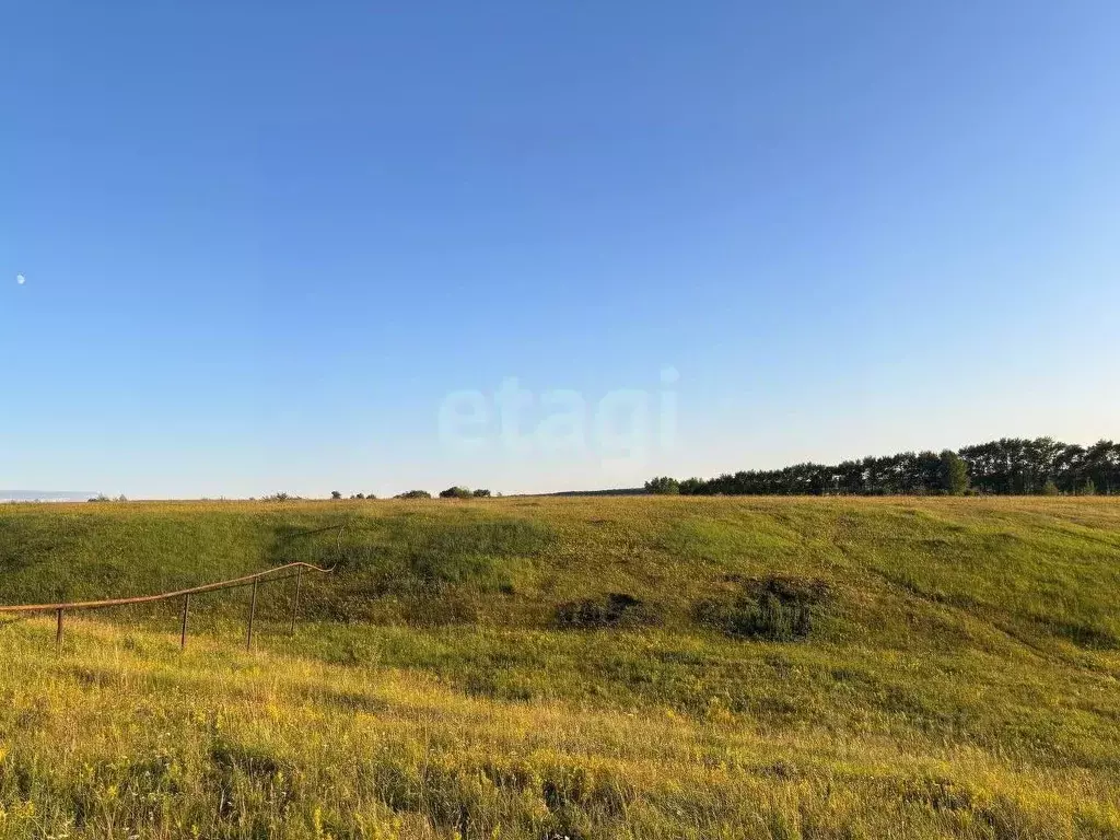 Участок в Мордовия, Лямбирский район, Берсеневское с/пос, д. Русская ... - Фото 1