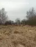 Участок в Калининградская область, Багратионовский муниципальный ... - Фото 1