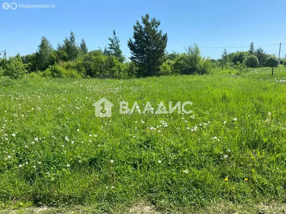 Участок в Луховицы, садовое товарищество Омега, 111 (6 м) - Фото 1