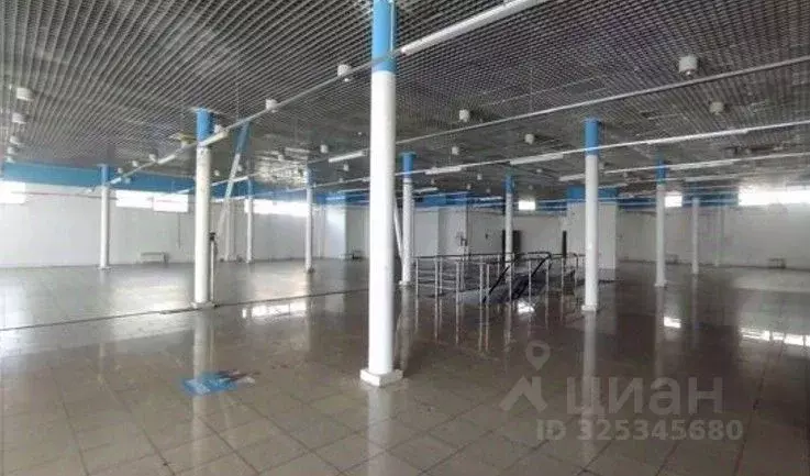 Торговая площадь в Санкт-Петербург просп. Культуры, 20 (300 м) - Фото 1