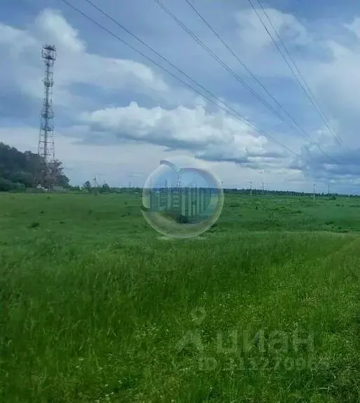 Участок в Московская область, Раменский городской округ, д. Головино  ... - Фото 1