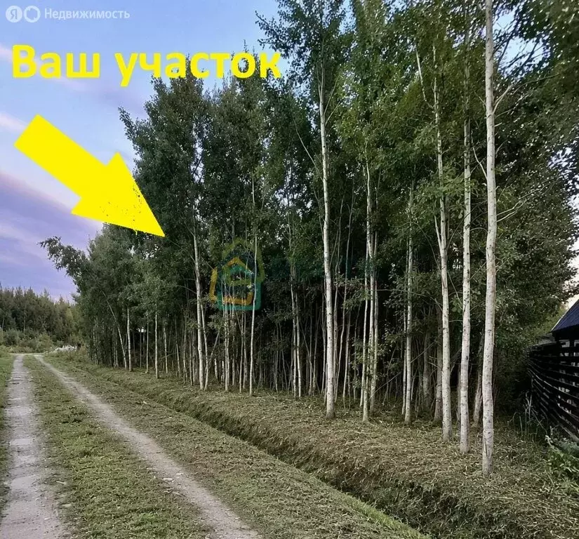 Участок в Виллозское городское поселение, огородническое ... - Фото 1