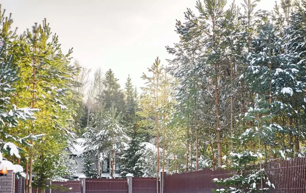 Участок в Московская область, Ступино городской округ, д. Шелково  ... - Фото 2