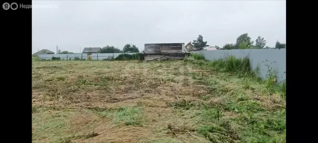 Участок в Тюменская область, Заводоуковский муниципальный округ, село ... - Фото 2