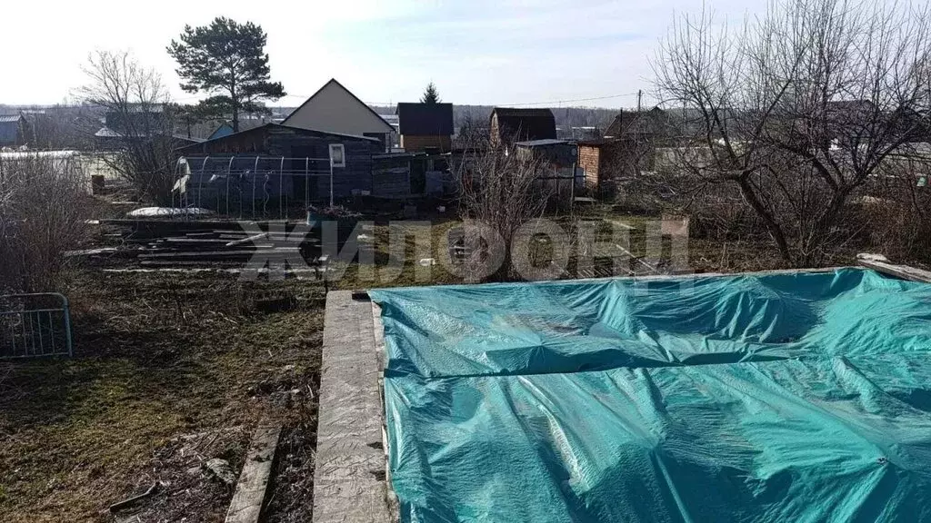 Участок в Новосибирск, СНТ Золотая Горка, аллея Б (7 м) - Фото 0