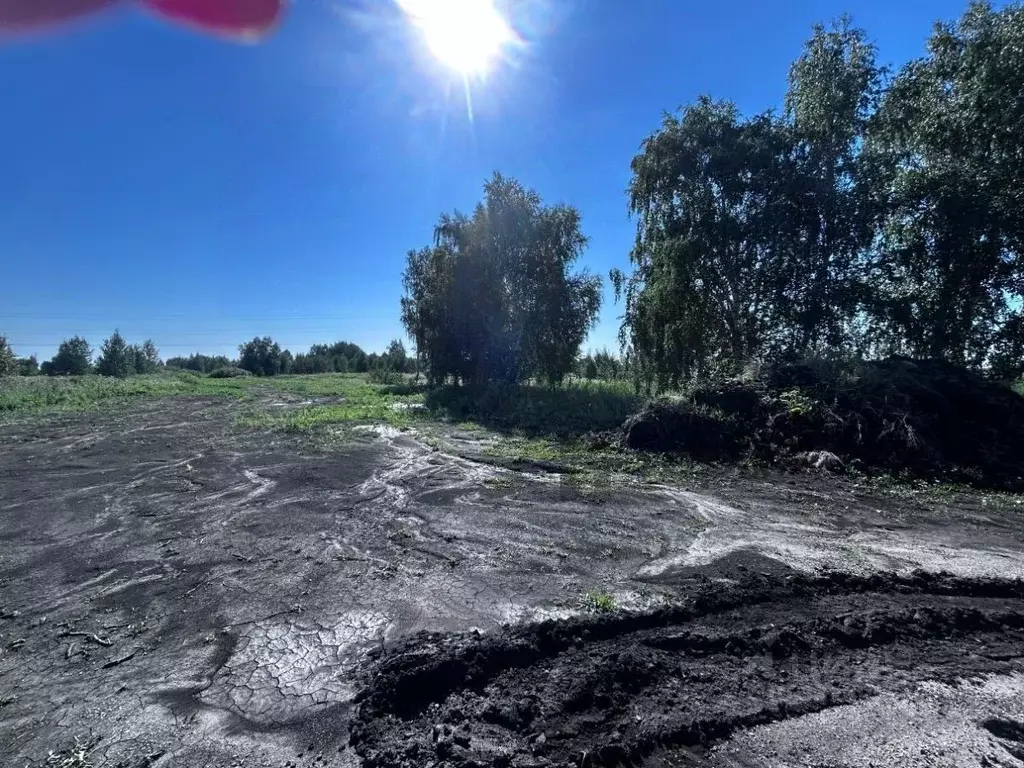 Участок в Челябинская область, Копейск ул. Менжинского (10.0 сот.) - Фото 2